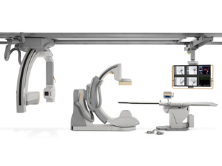 Clicca per ingrandire